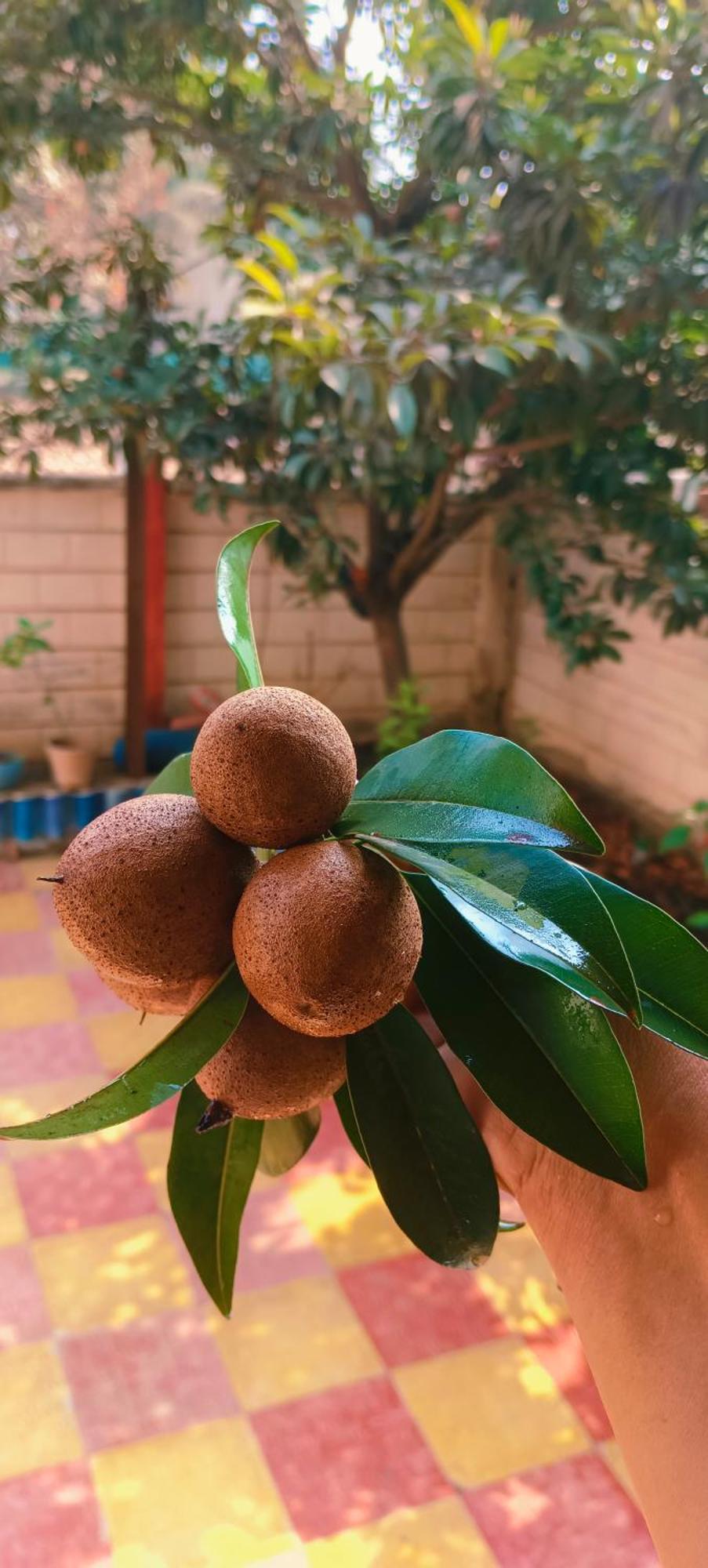 Swarn Villa آليباغ المظهر الخارجي الصورة