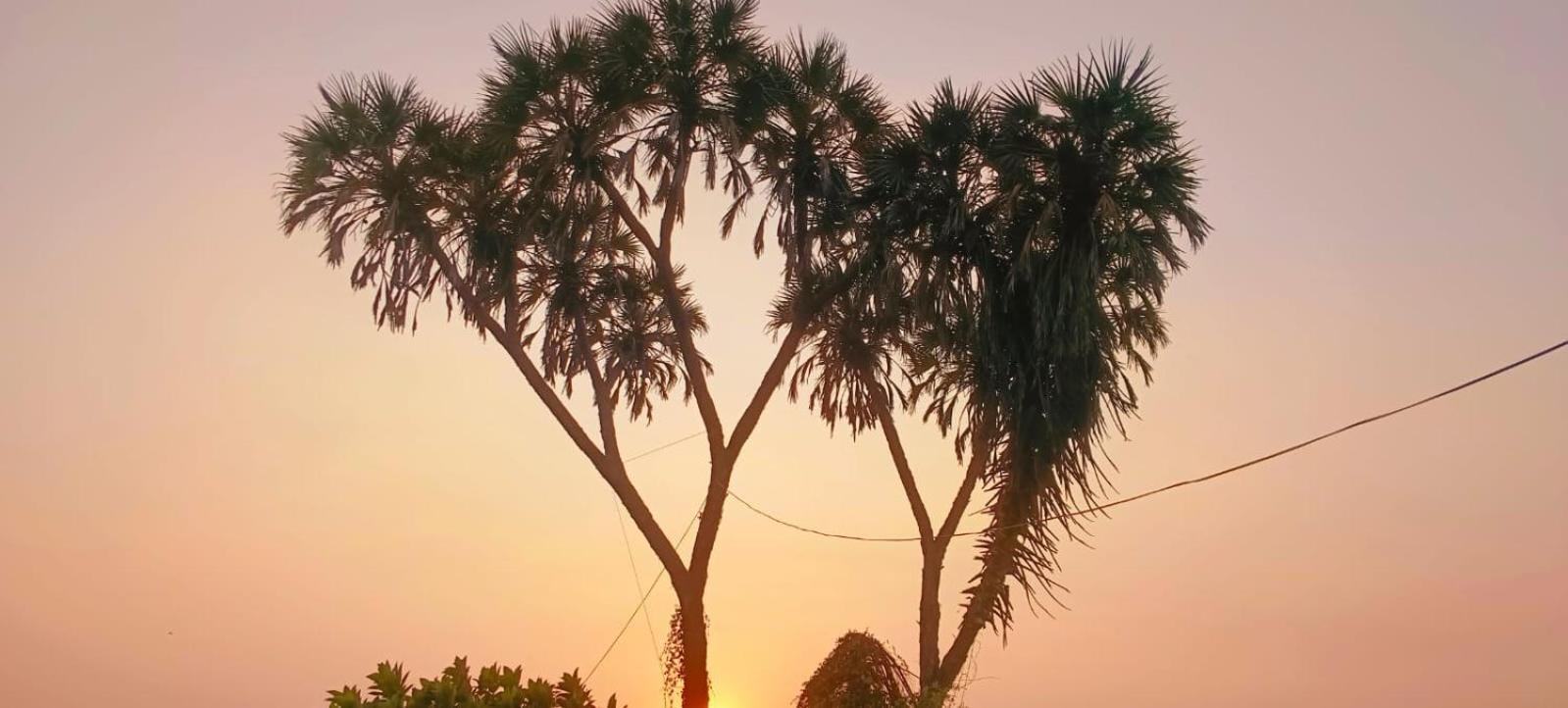 Swarn Villa آليباغ المظهر الخارجي الصورة